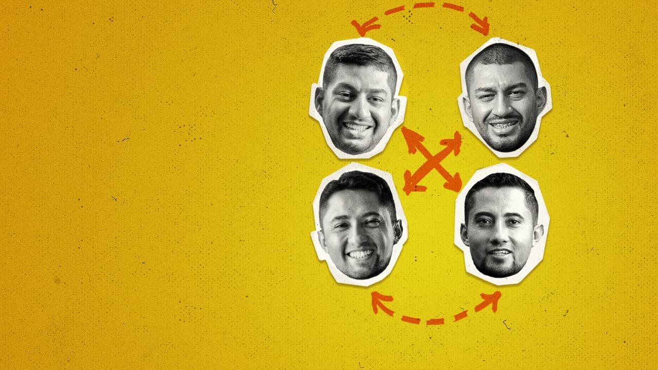 The Accidental Twins