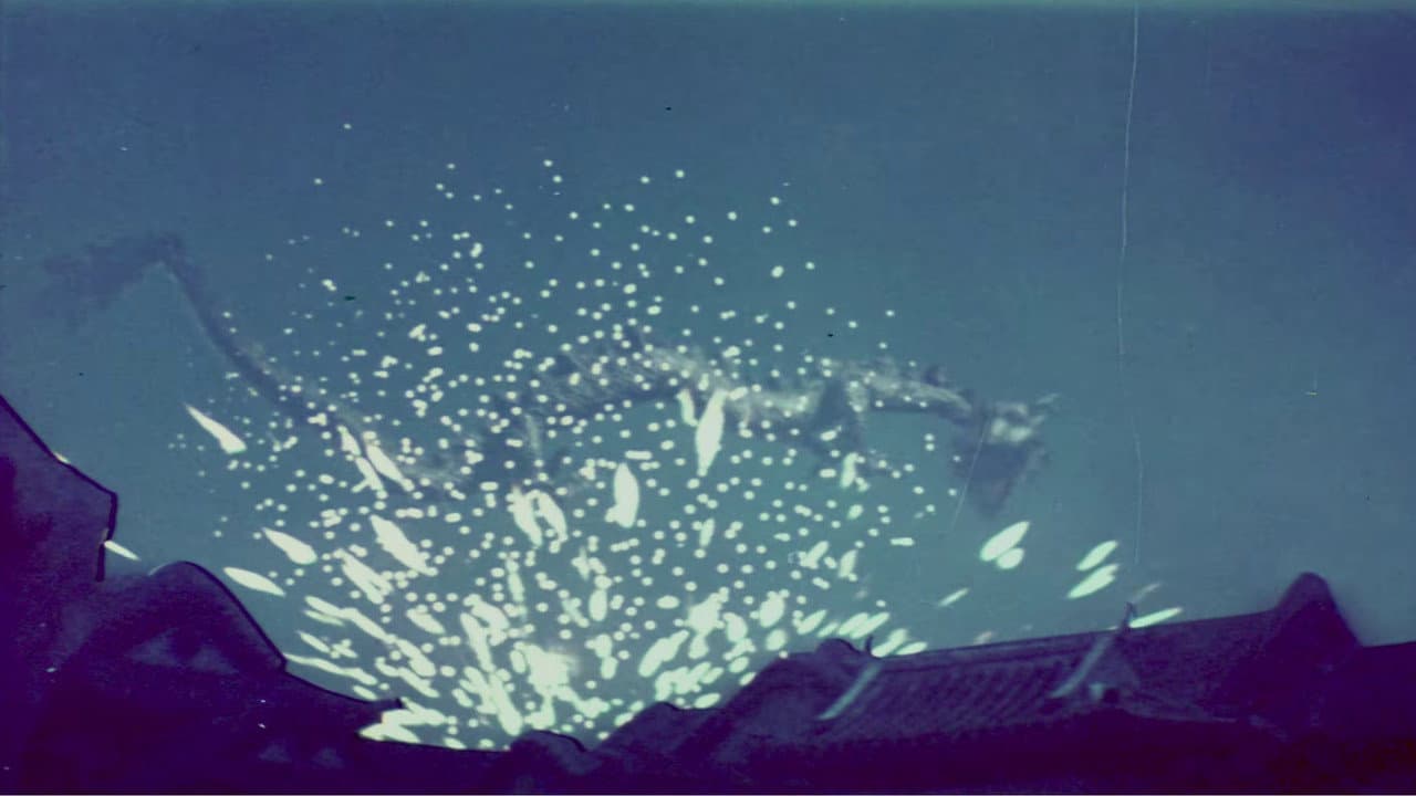 The Fairy and the Devil