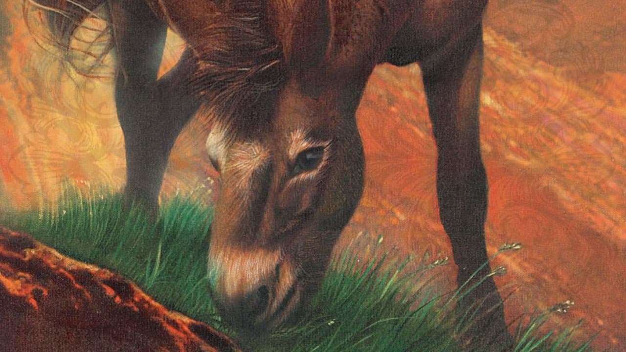 Brighty of the Grand Canyon