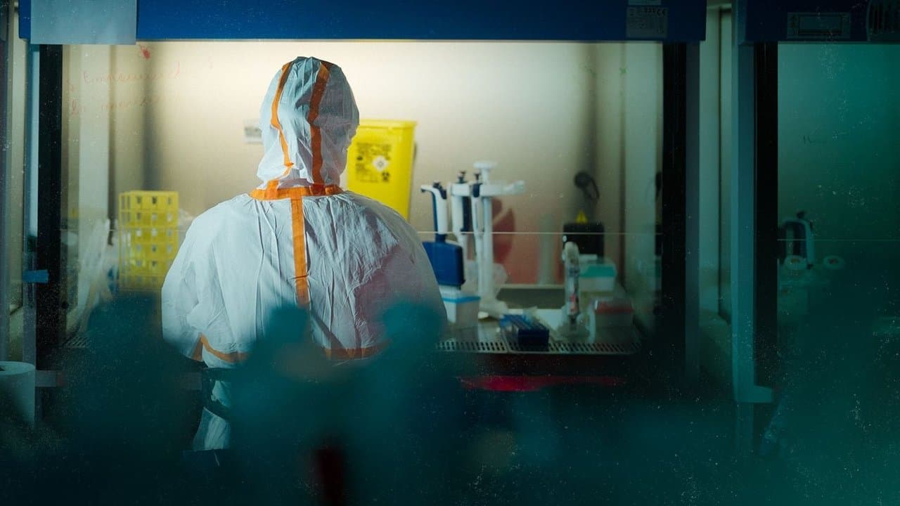 Covid, le secret des origines