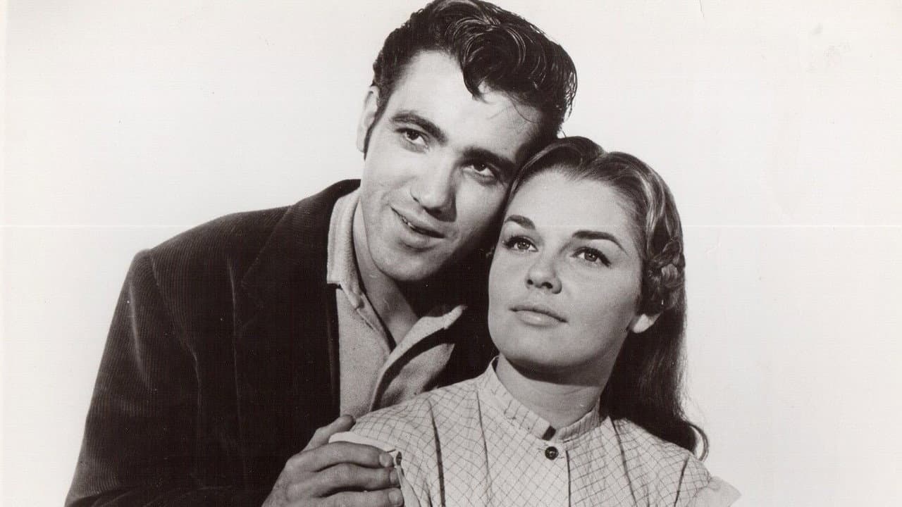 The Little Shepherd Of Kingdom Come