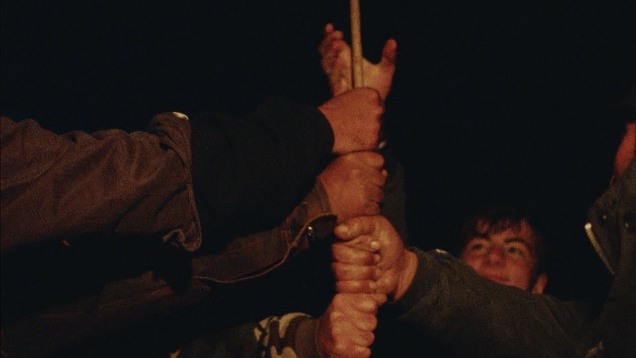 The Wind Blows Wherever It Wants