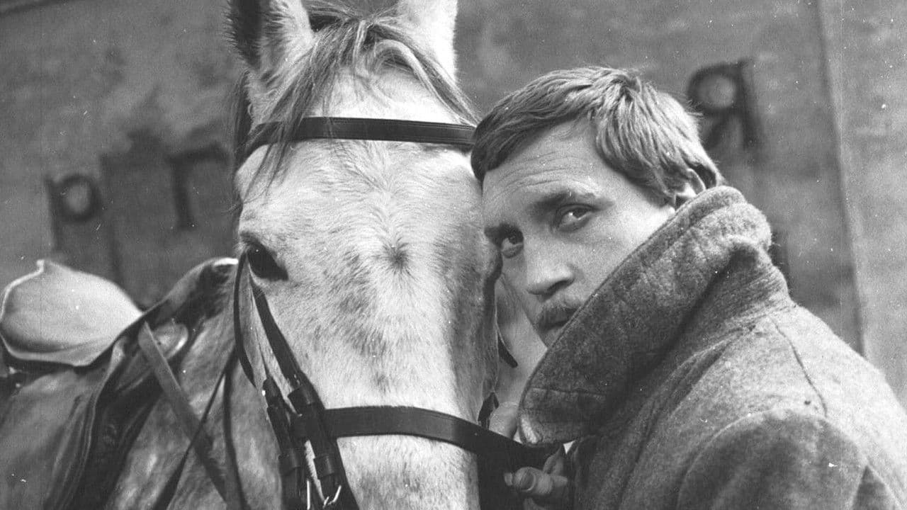 Two Comrades Were Serving