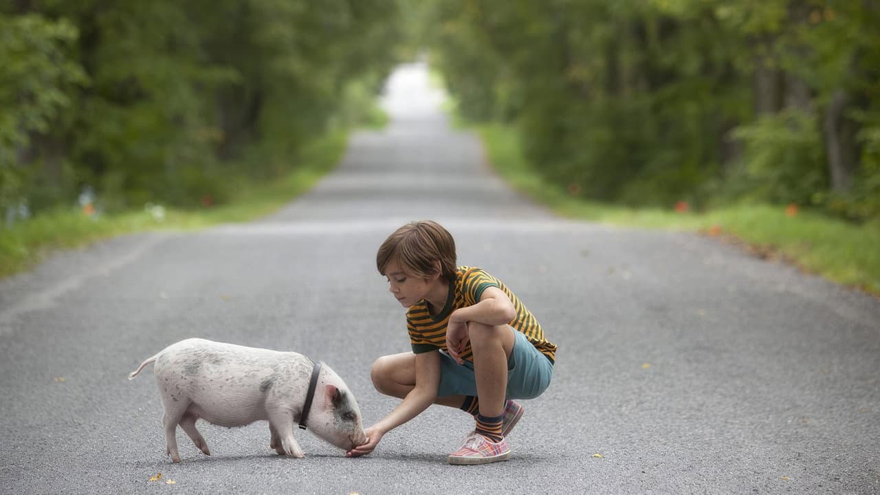 Hotell Gyllene Knorren - filmen