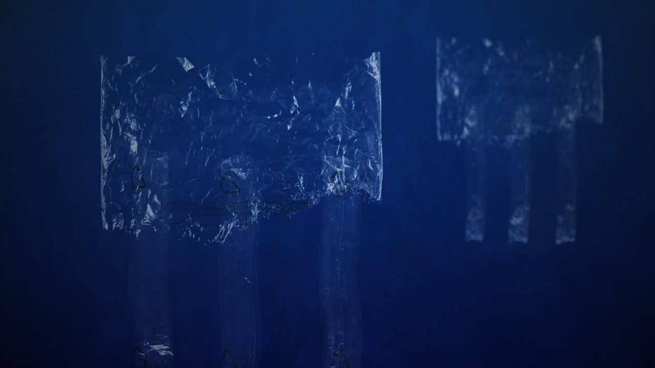 The Skoupidozoic Era