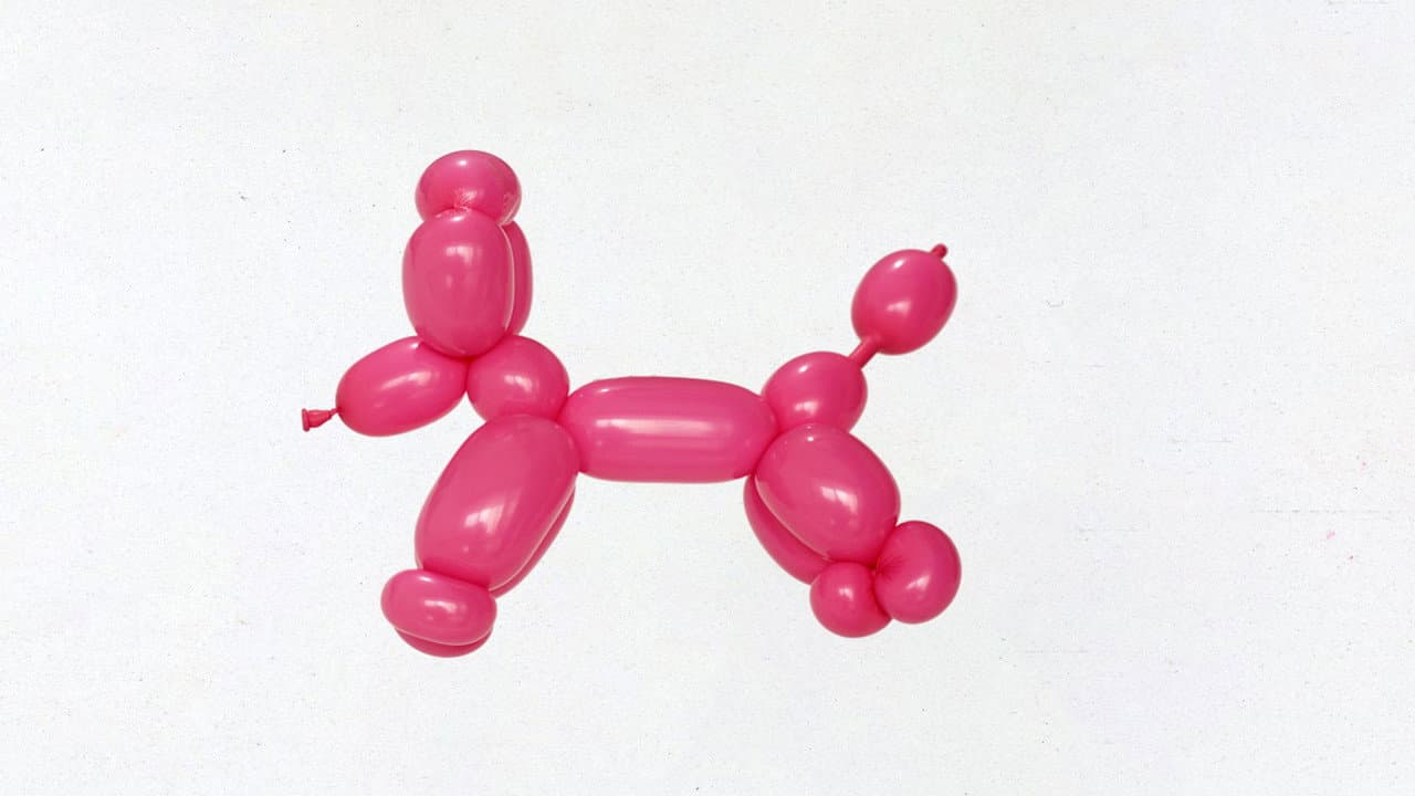 The Years of the rabbit