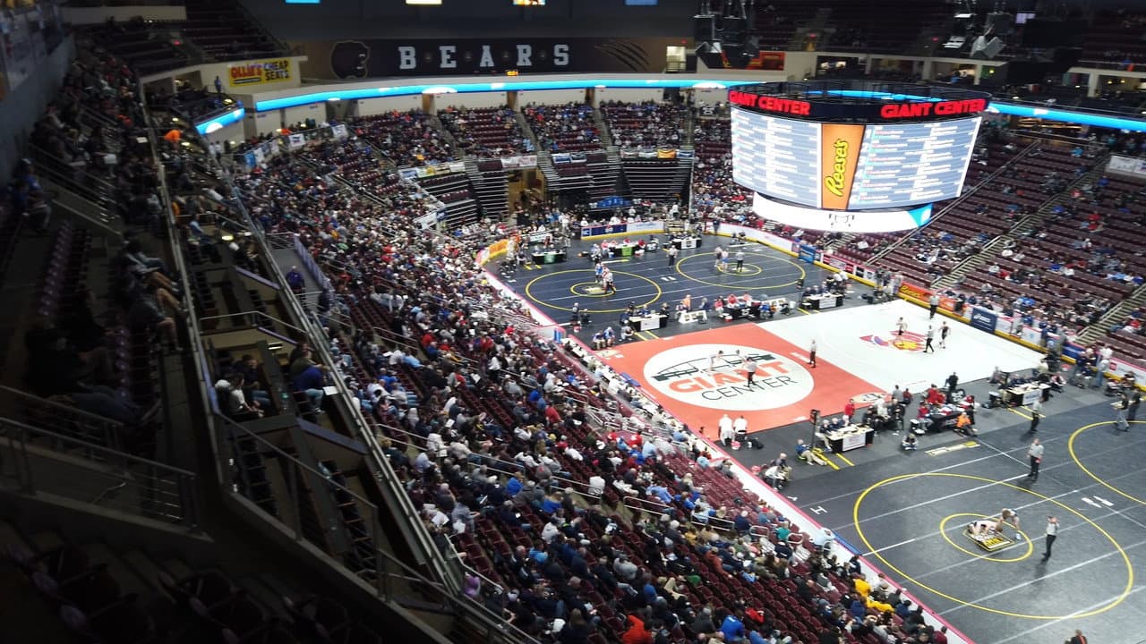 Iron Maidens: Wrestling for Glory