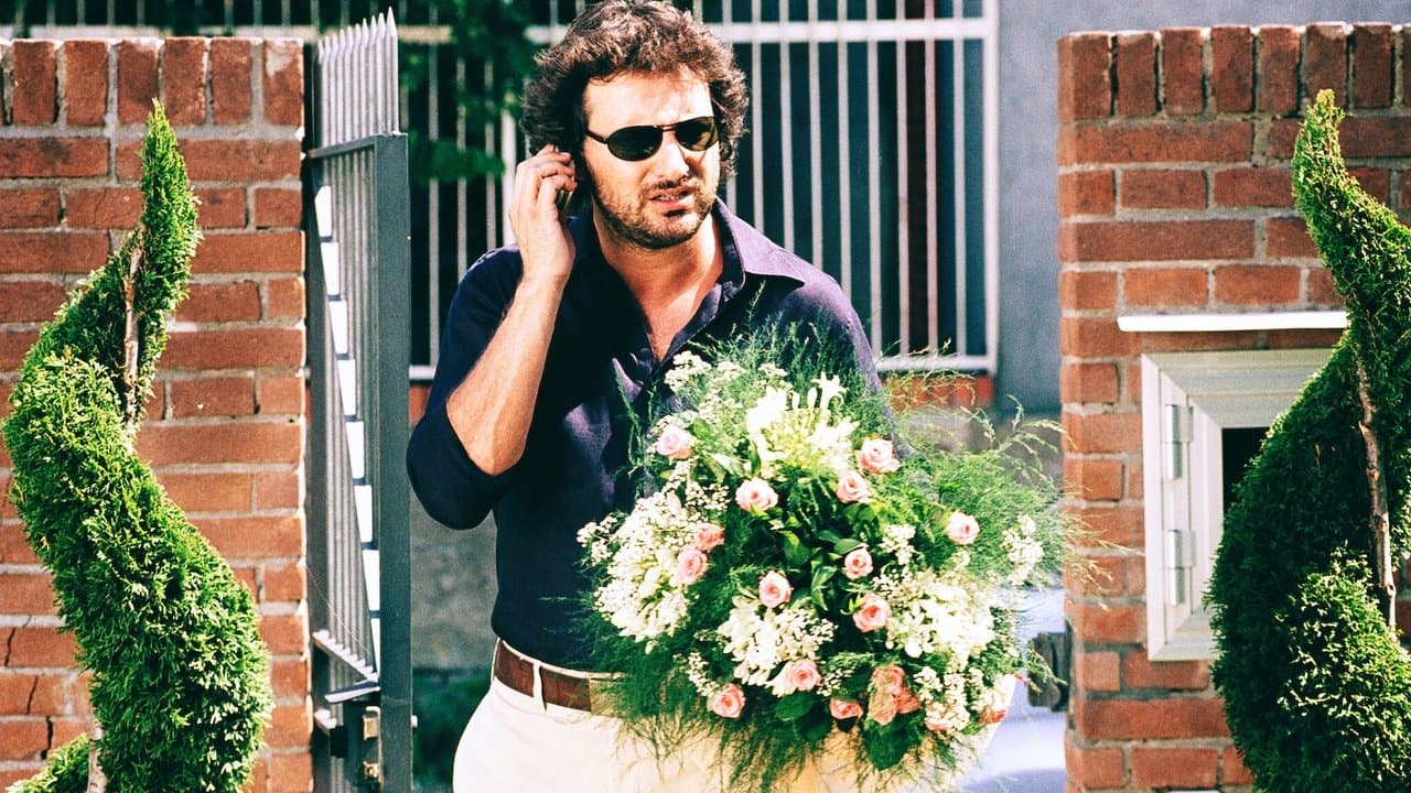 I Love You in All Languages of the World