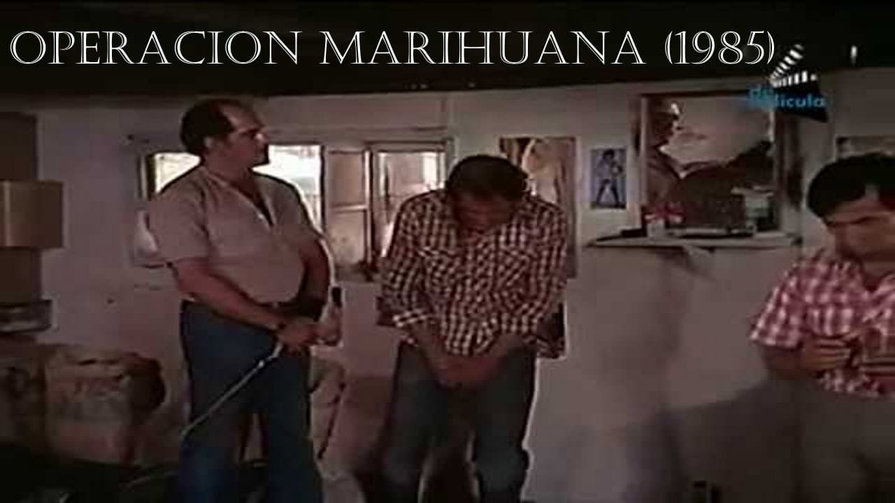 Operation Marihuana