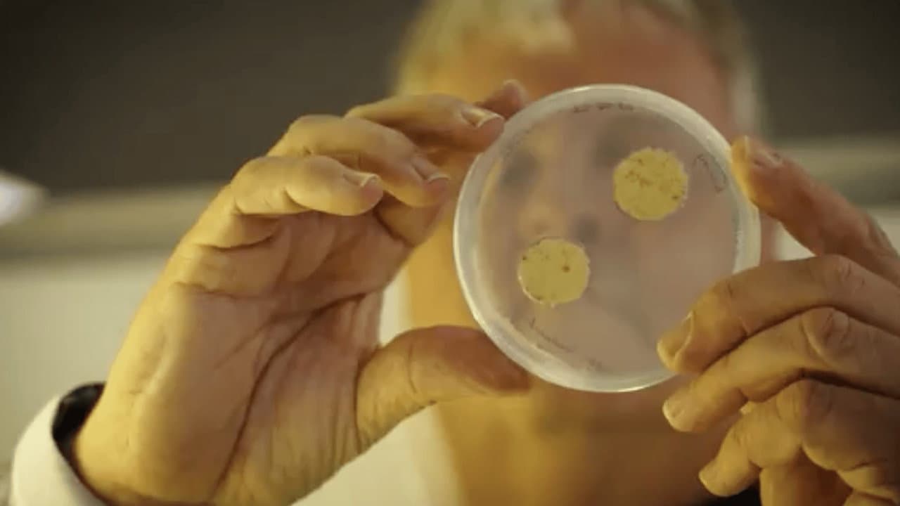 What if...? Genomics in Aotearoa