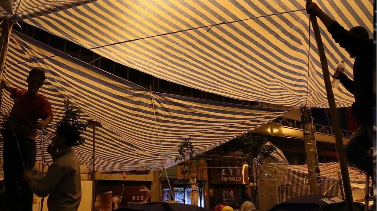 Like an abortion, for the very first time