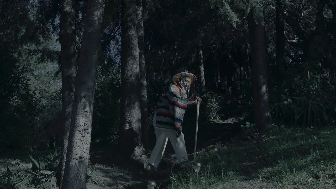 In Luna There Are Spirits