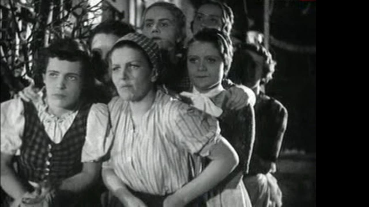 Petticoat Government