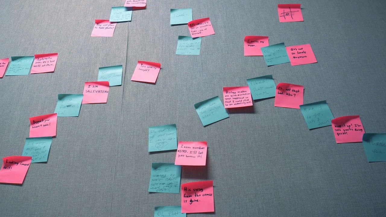 I Will See You, Starling