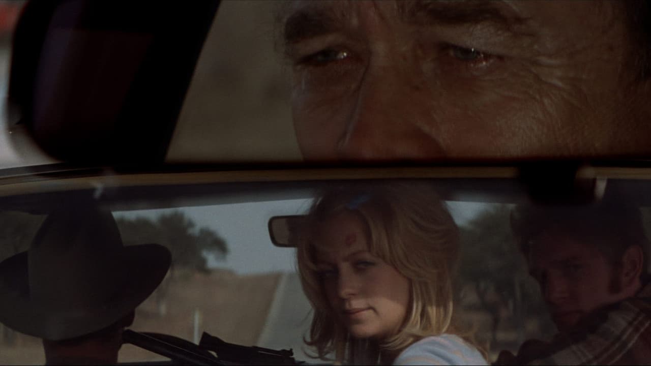 The Sugarland Express