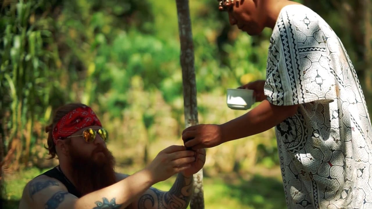 Soldiers of the Vine