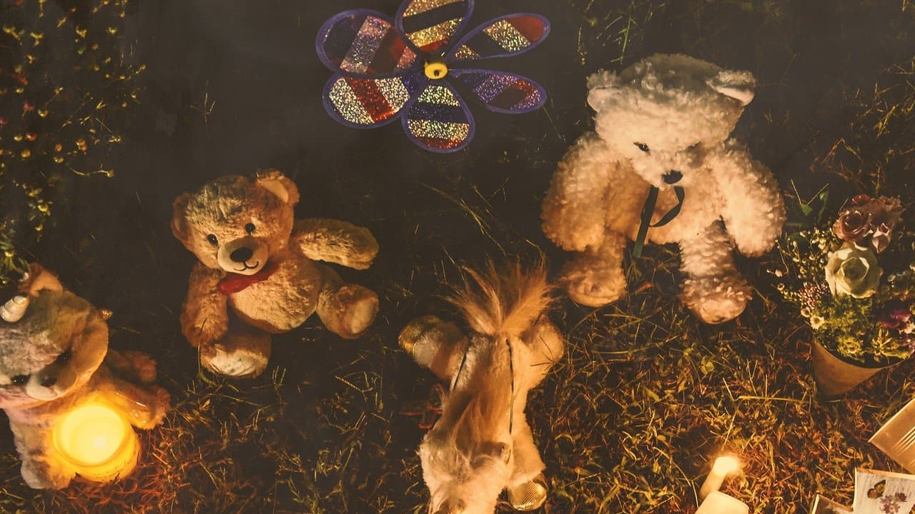 The Murder of Gabby Petito: What Really Happened