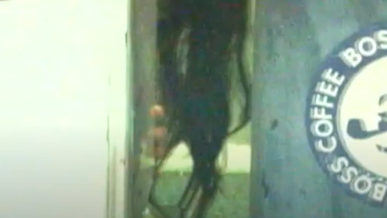 Honto Ni Atta! Noroi No Video 12