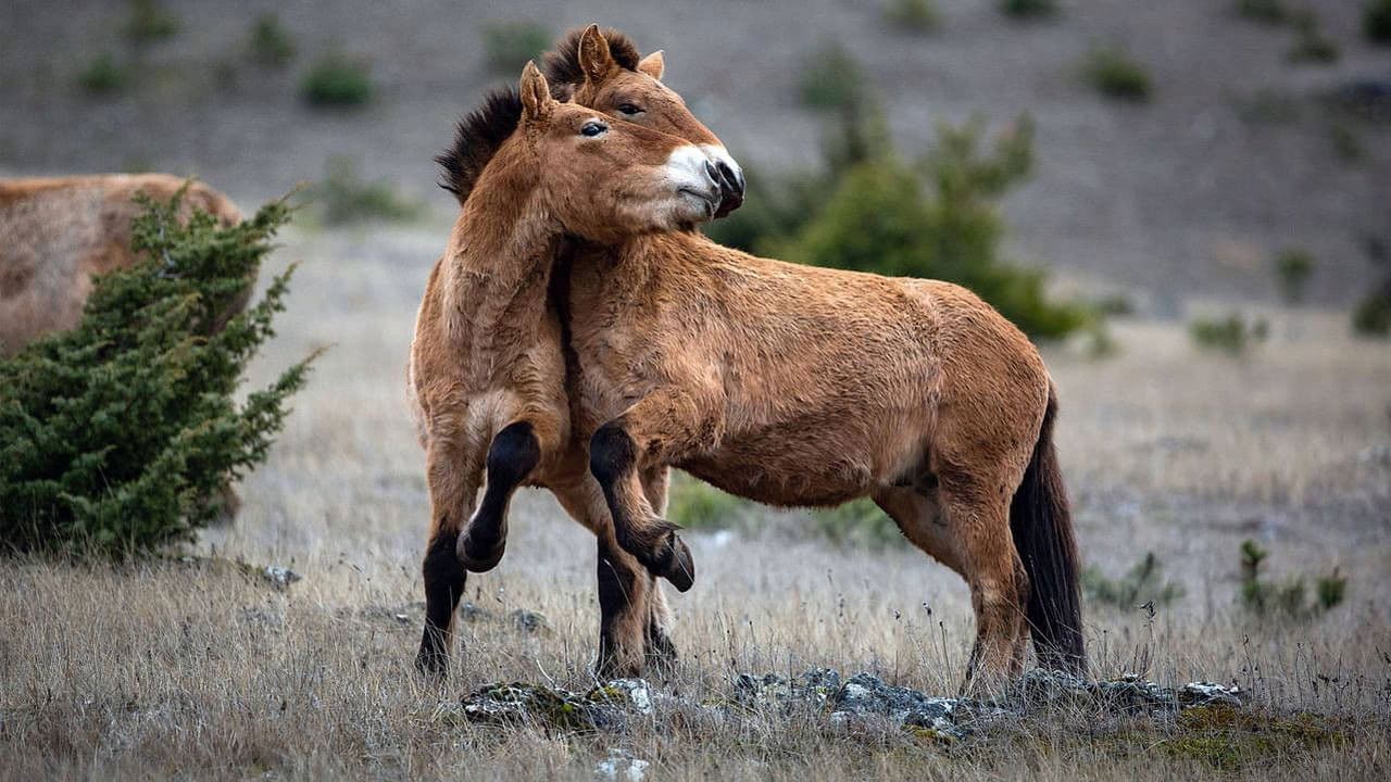 Living Among the Living