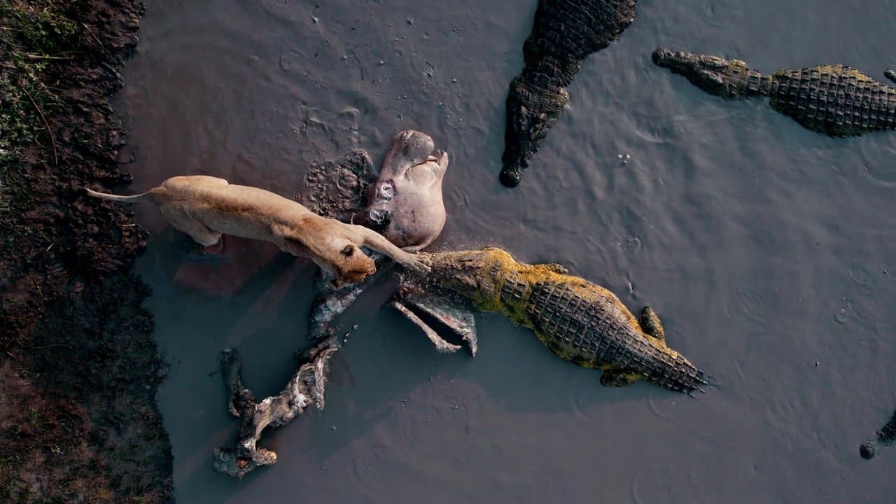 Katavi Africa's Fallen Paradise