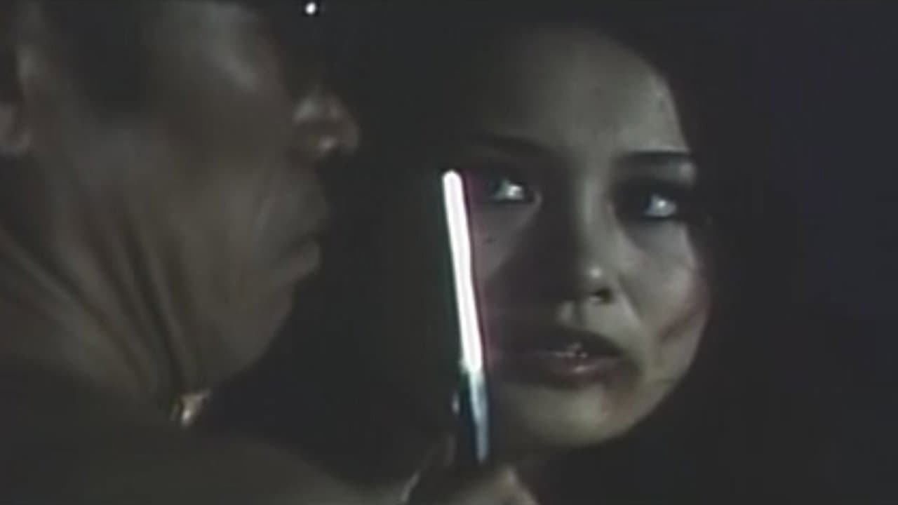 Sanctuary in the Night