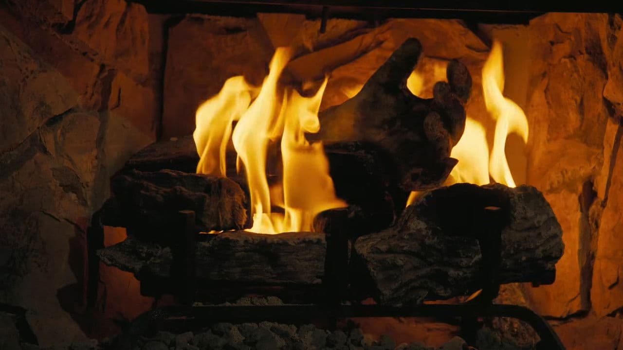 Fallout: The Ghoul Log