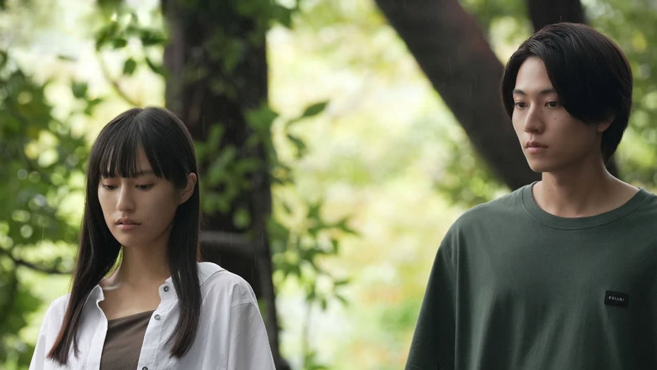 A Summer's Accomplice