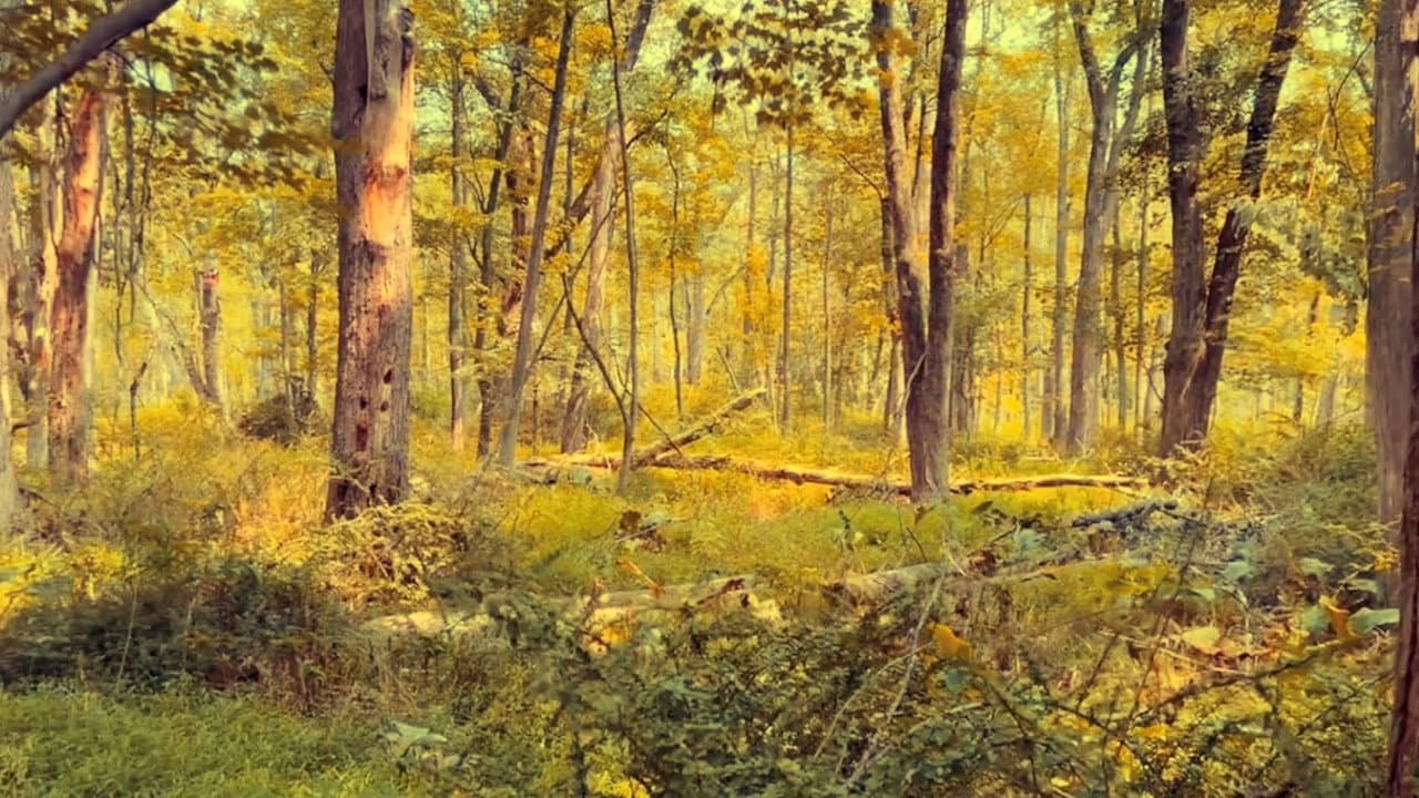 A Late Night Bottle of Water