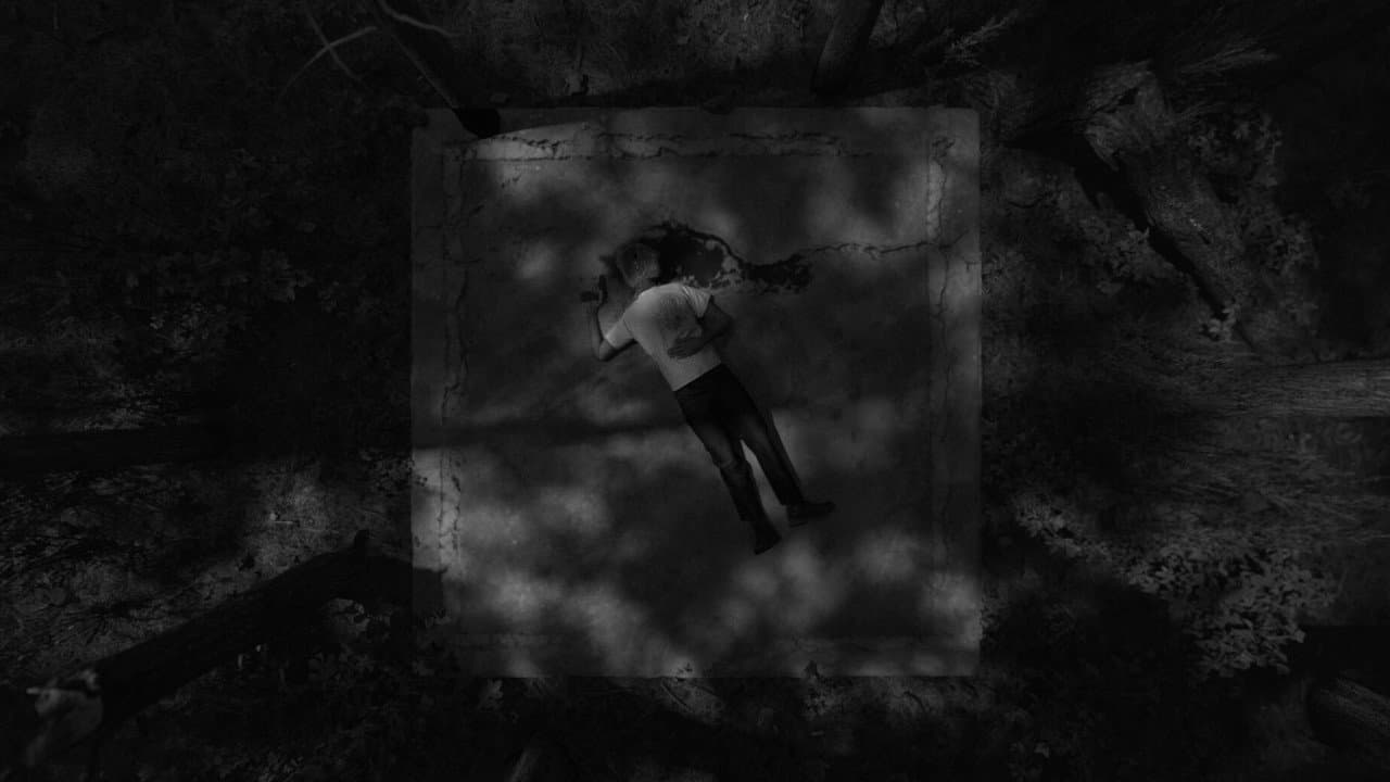 Variations on Violence