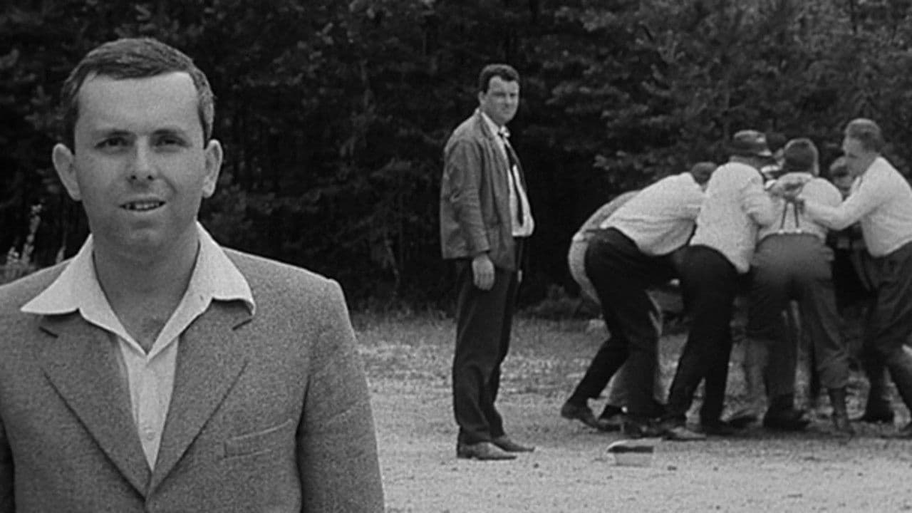 The Party and the Guests