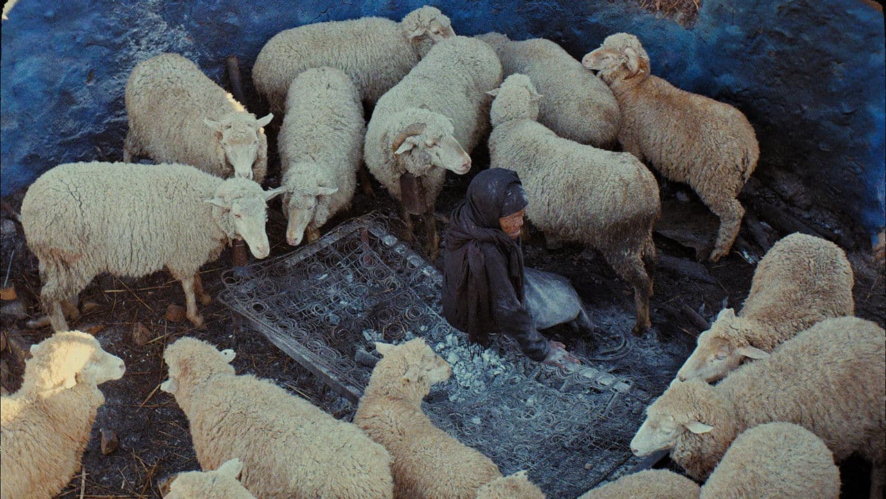 This Is Not a Burial, It's a Resurrection