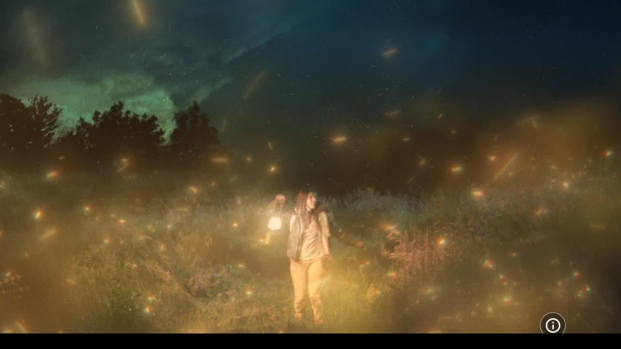 The Girl, The Hunter, & The Firefly