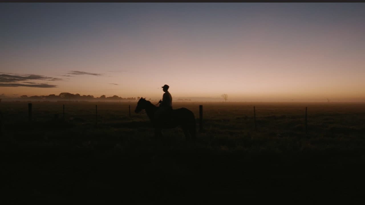 Resolve in Venezuela