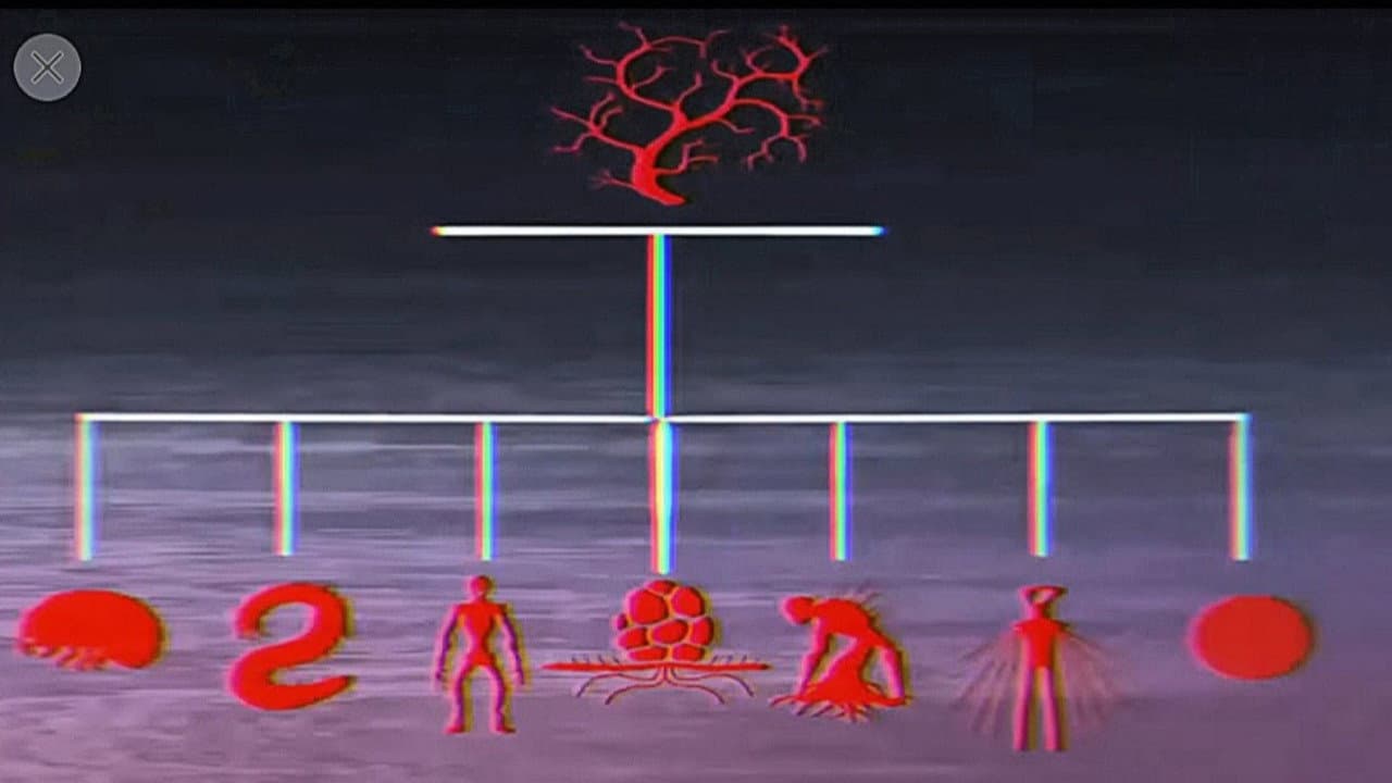 Vita Carnis - Living Meat Documentary