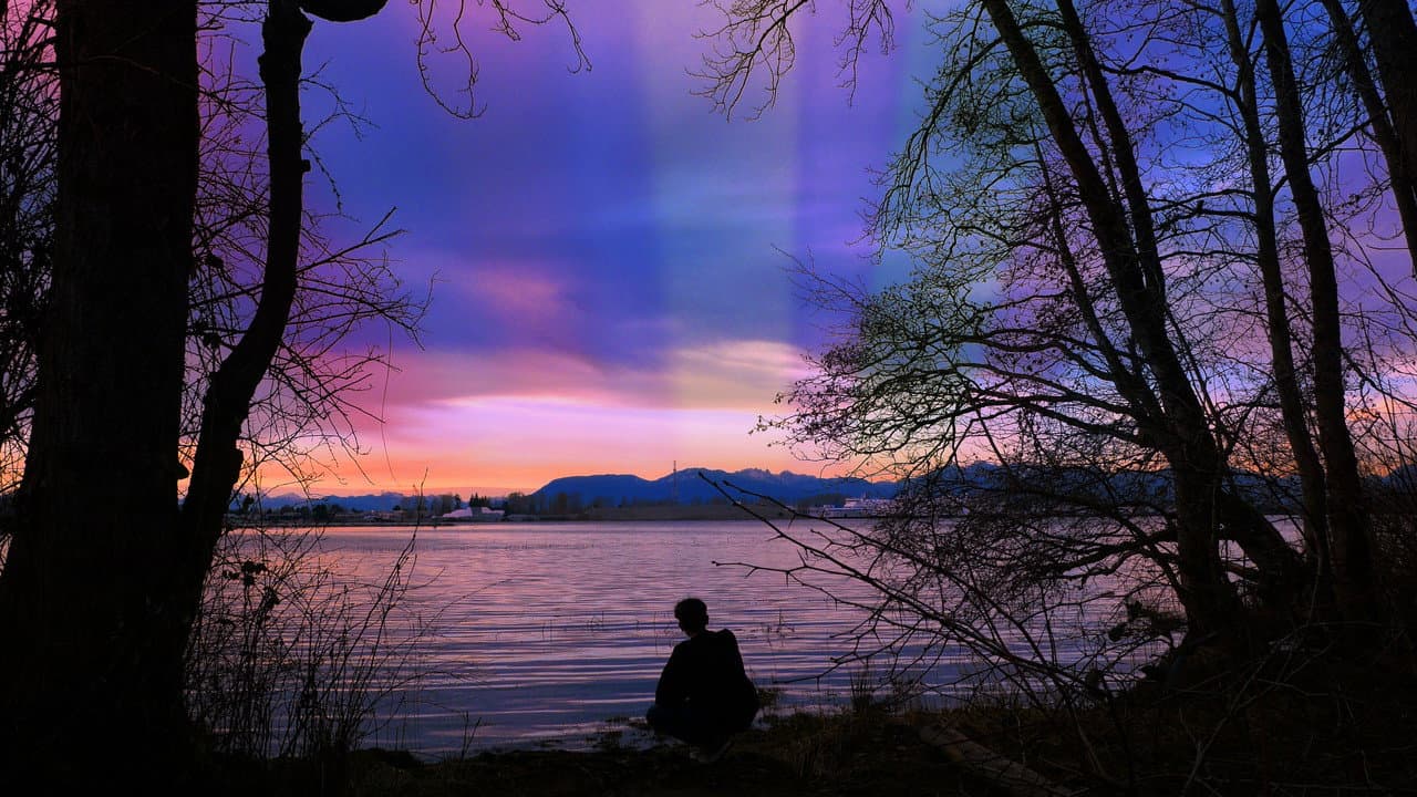 My Fascination With The Butterfly Effect