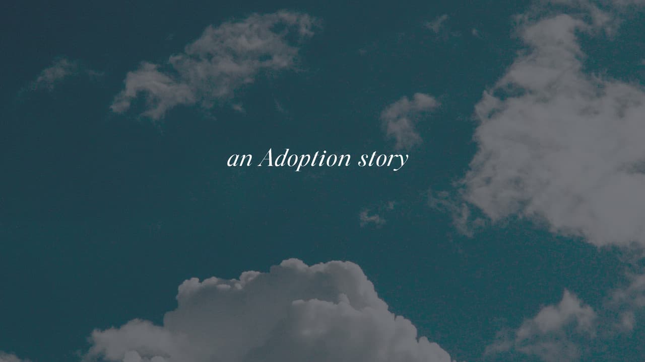 An Adoption Story