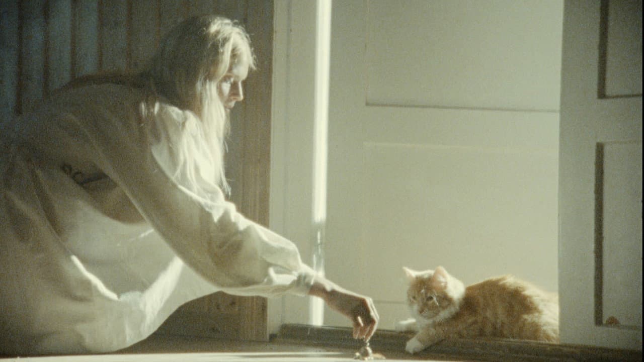 Keskiyön auringosta ikuisuuteen