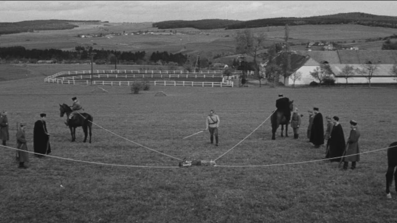 Long Live the Republic