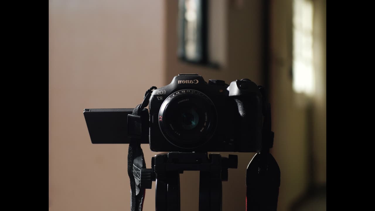 I Never Heard Their Beginnings