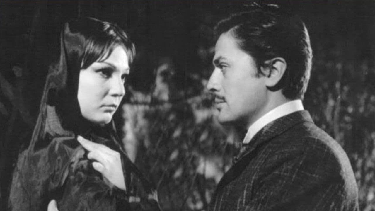 Four Women in the Harem