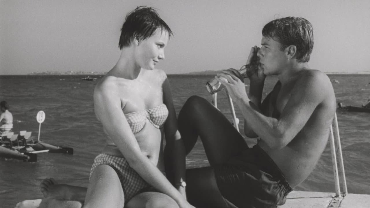 The Sun and the Shadow