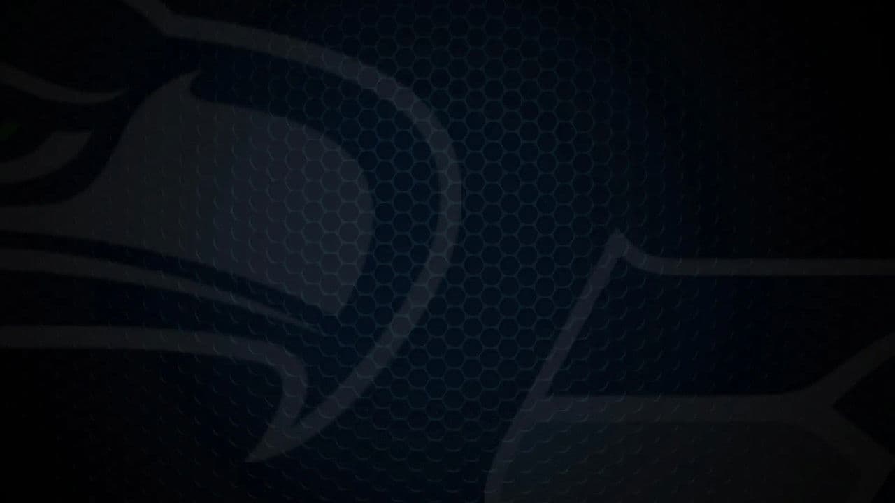 Super Bowl Champions: The 2025 Seattle Seahawks