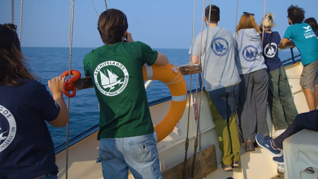 Saving the Hidden Coral of the Mediterranean