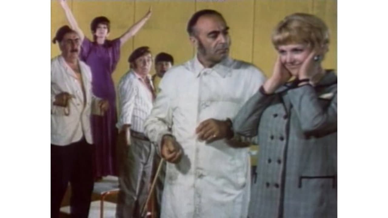 The Circus Lights Up