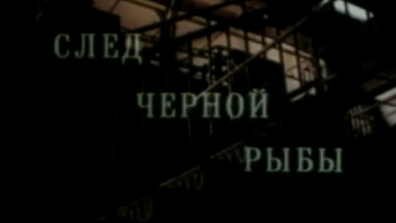 Code of Silence 2. The Trail of the Black Fish