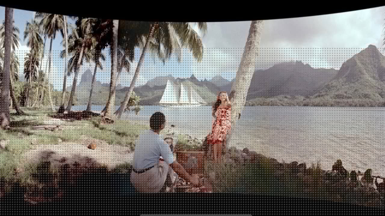 South Seas Adventure