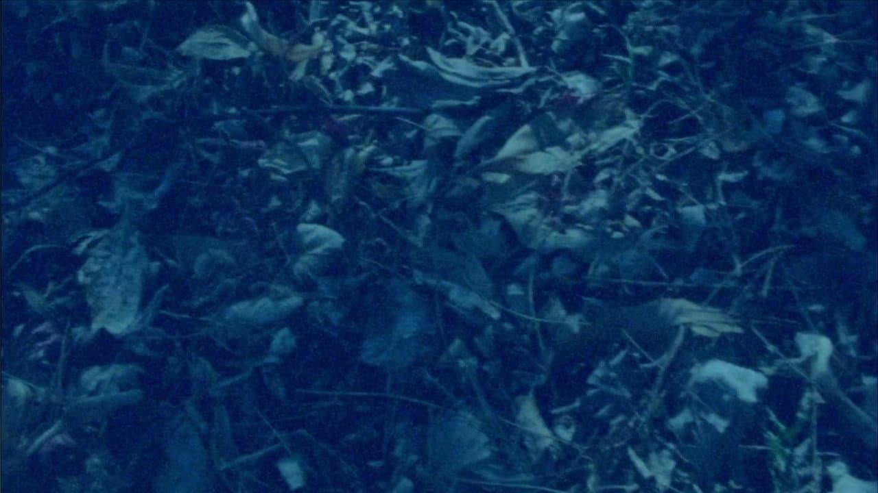 Surface Memory Oblivion