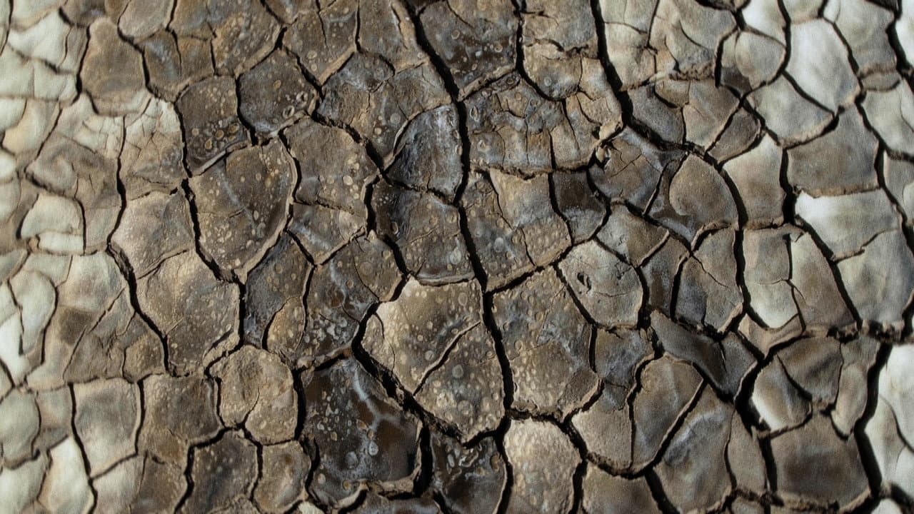 What Does the Mud Whisper?