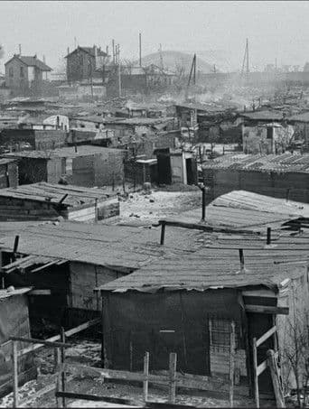 Une vie en transit, ou l'illusion du provisoire