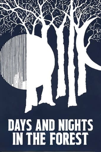 Days and Nights in the Forest